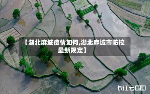 【湖北麻城疫情如何,湖北麻城市防控最新规定】-第2张图片