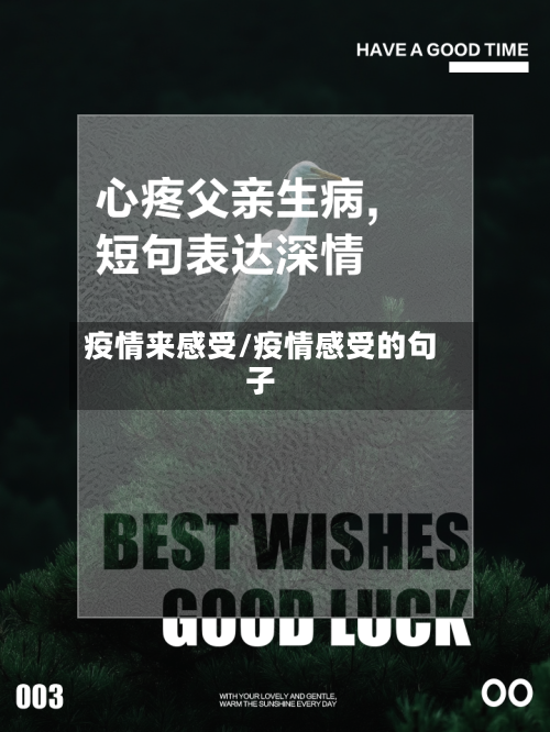 疫情来感受/疫情感受的句子-第2张图片
