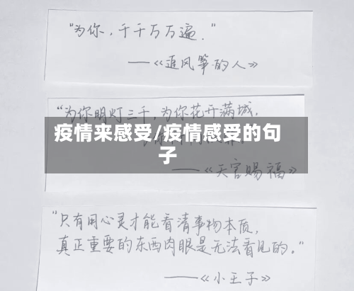 疫情来感受/疫情感受的句子