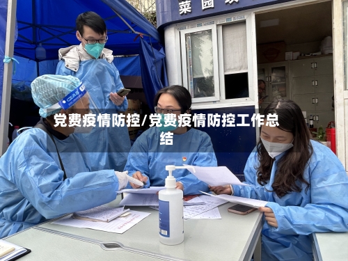 党费疫情防控/党费疫情防控工作总结