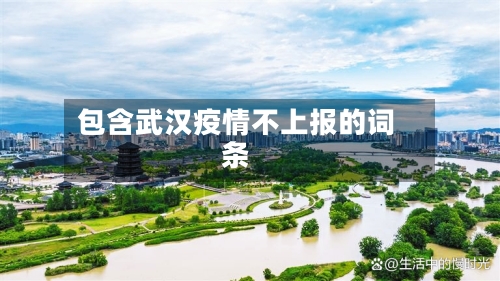 包含武汉疫情不上报的词条