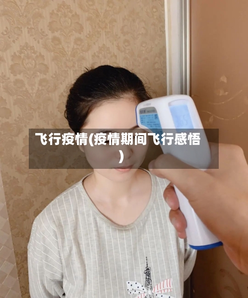 飞行疫情(疫情期间飞行感悟)-第2张图片