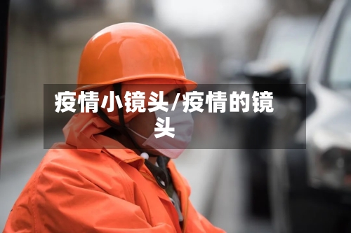 疫情小镜头/疫情的镜头