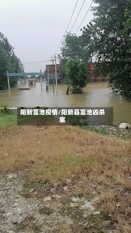 阳新富池疫情/阳新县富池凶杀案