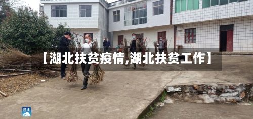 【湖北扶贫疫情,湖北扶贫工作】-第3张图片