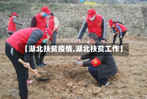 【湖北扶贫疫情,湖北扶贫工作】