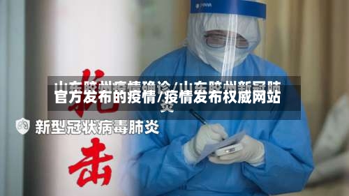 官方发布的疫情/疫情发布权威网站-第3张图片