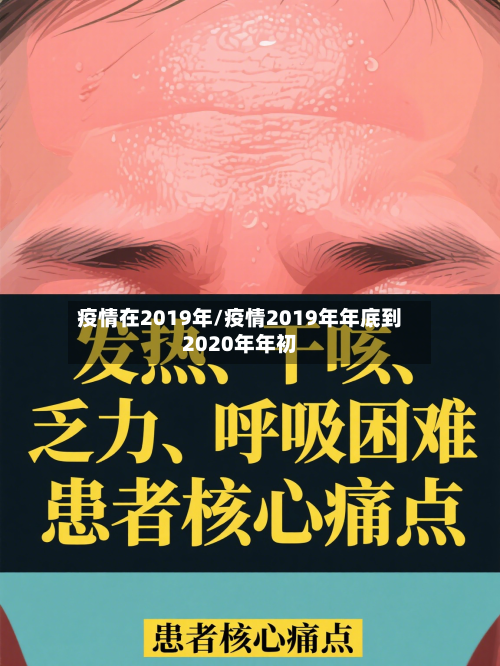 疫情在2019年/疫情2019年年底到2020年年初