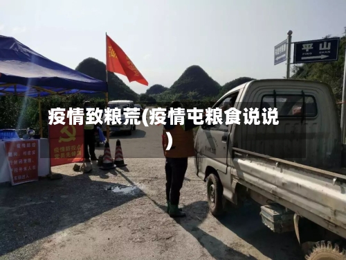 疫情致粮荒(疫情屯粮食说说)