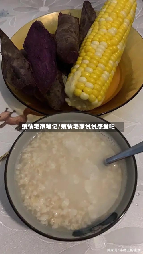 疫情宅家笔记/疫情宅家说说感受吧-第2张图片
