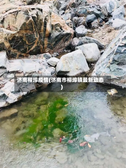 济南柳埠疫情(济南市柳埠镇最新动态)