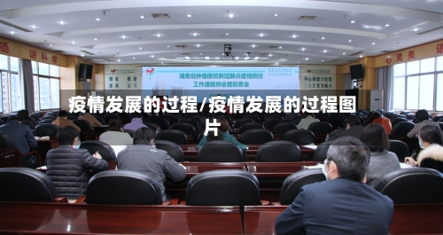 疫情发展的过程/疫情发展的过程图片