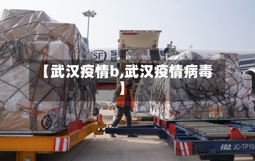 【武汉疫情b,武汉疫情病毒】