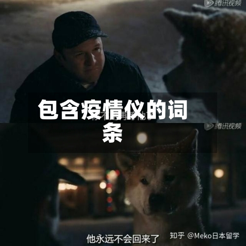 包含疫情仪的词条-第2张图片