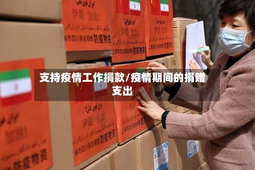 支持疫情工作捐款/疫情期间的捐赠支出
