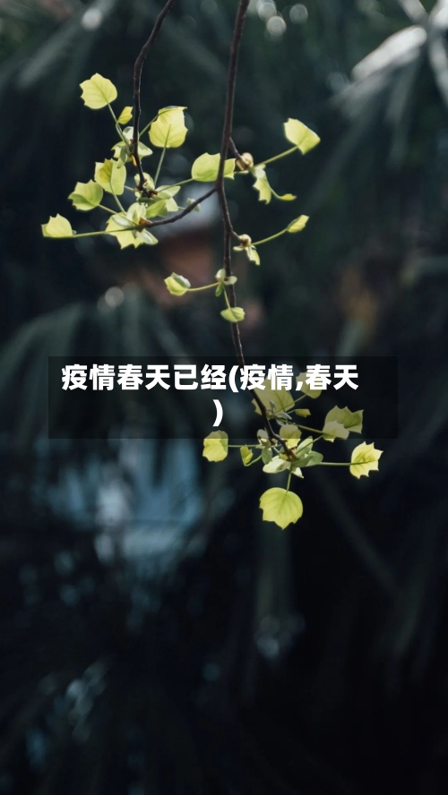 疫情春天已经(疫情,春天)
