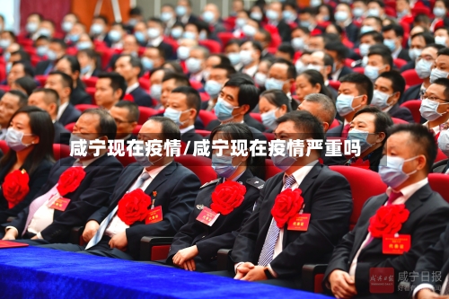 咸宁现在疫情/咸宁现在疫情严重吗-第2张图片