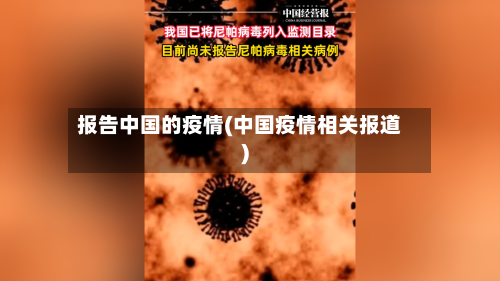 报告中国的疫情(中国疫情相关报道)