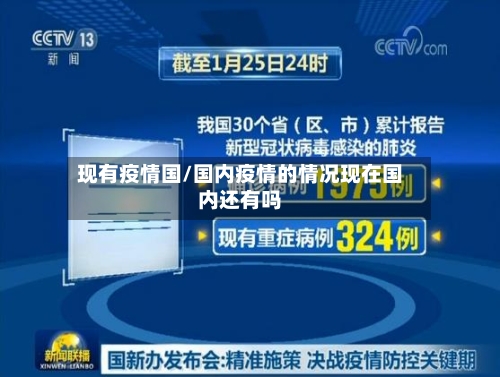 现有疫情国/国内疫情的情况现在国内还有吗-第3张图片