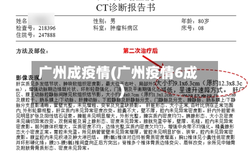 广州成疫情(广州疫情6成)-第2张图片