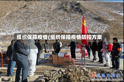 组织保障疫情(组织保障疫情防控方案)