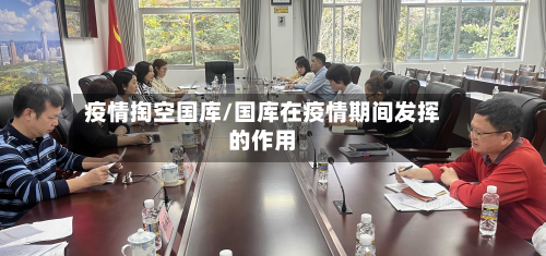 疫情掏空国库/国库在疫情期间发挥的作用