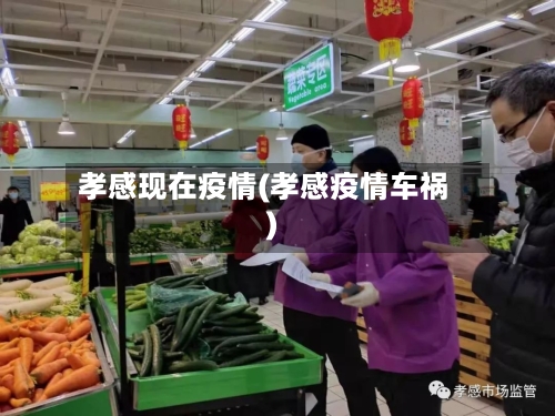 孝感现在疫情(孝感疫情车祸)