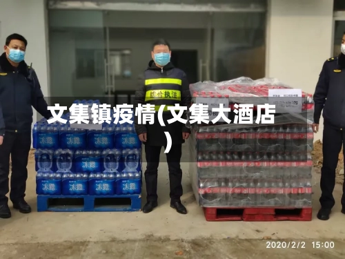 文集镇疫情(文集大酒店)
