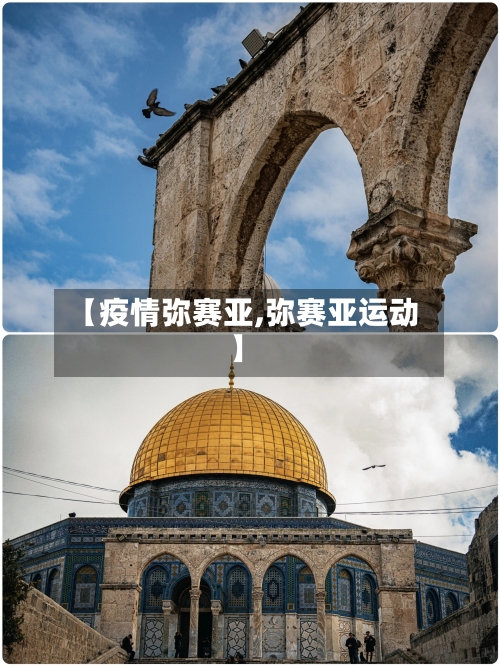 【疫情弥赛亚,弥赛亚运动】