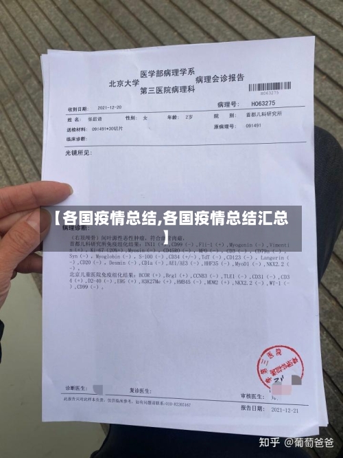 【各国疫情总结,各国疫情总结汇总】-第2张图片