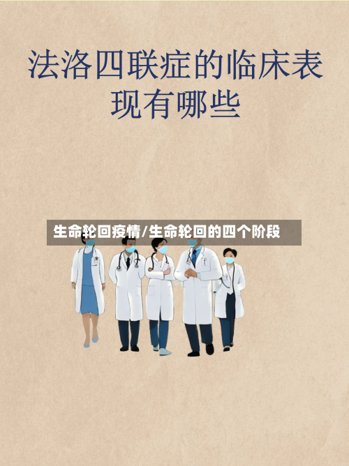 生命轮回疫情/生命轮回的四个阶段-第2张图片