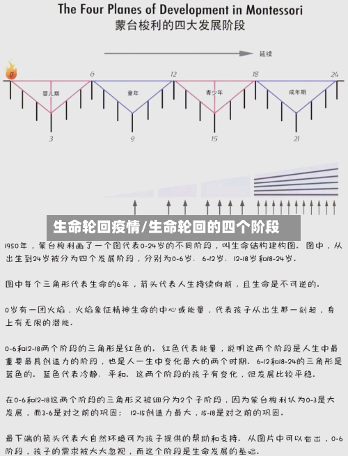 生命轮回疫情/生命轮回的四个阶段-第3张图片