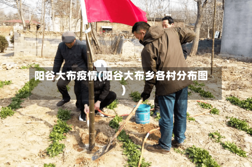 阳谷大布疫情(阳谷大布乡各村分布图)-第3张图片