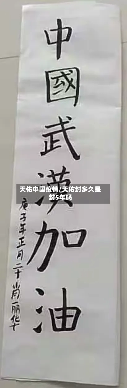 天佑中国疫情/天佑封多久是封5年吗-第3张图片