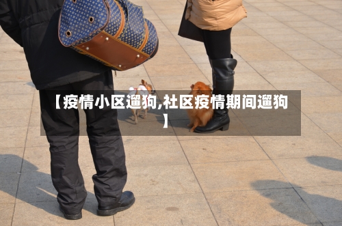 【疫情小区遛狗,社区疫情期间遛狗】-第2张图片