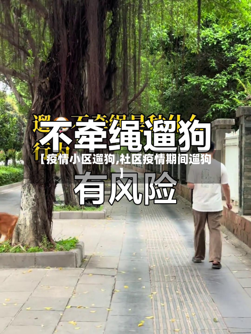 【疫情小区遛狗,社区疫情期间遛狗】