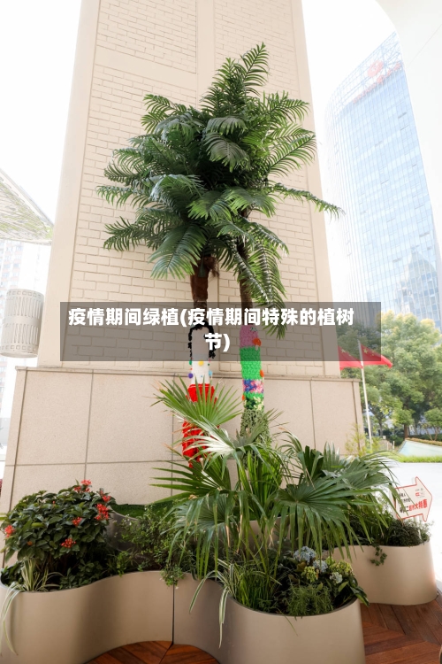 疫情期间绿植(疫情期间特殊的植树节)