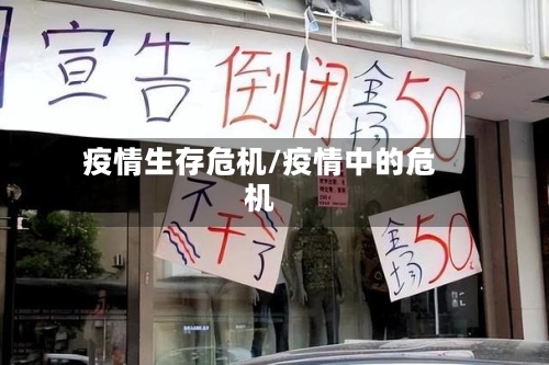 疫情生存危机/疫情中的危机-第2张图片