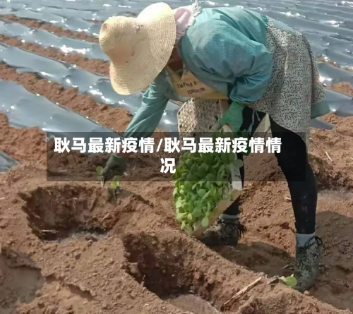 耿马最新疫情/耿马最新疫情情况-第2张图片