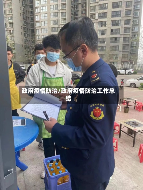 政府疫情防治/政府疫情防治工作总结
