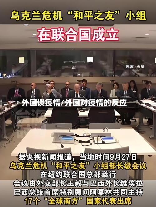 外国谈疫情/外国对疫情的反应-第2张图片