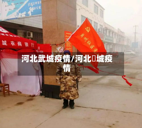河北武城疫情/河北稾城疫情-第2张图片