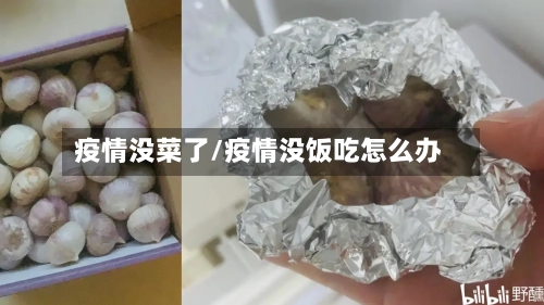 疫情没菜了/疫情没饭吃怎么办