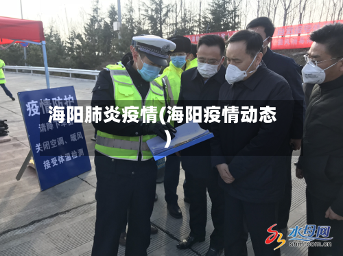 海阳肺炎疫情(海阳疫情动态)-第2张图片