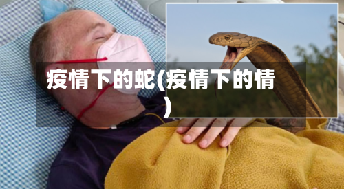 疫情下的蛇(疫情下的情)