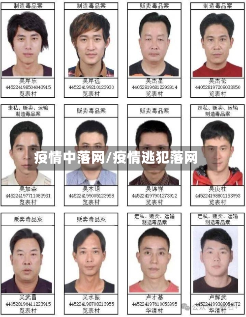 疫情中落网/疫情逃犯落网