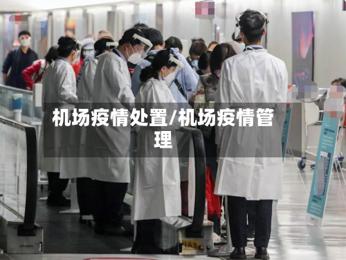 机场疫情处置/机场疫情管理
