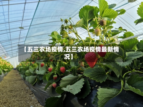 【五三农场疫情,五三农场疫情最新情况】-第2张图片