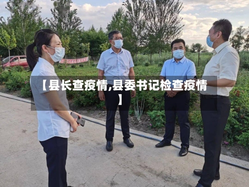 【县长查疫情,县委书记检查疫情】-第3张图片