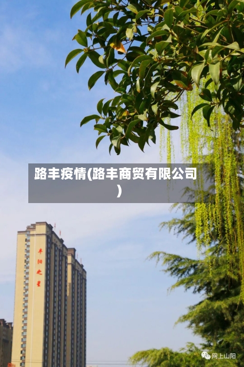 路丰疫情(路丰商贸有限公司)-第2张图片